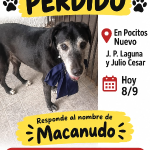 Macanudo