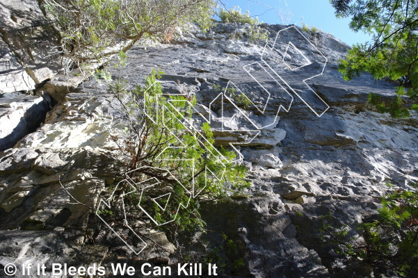 photo of The Melon Ledge ▲▲ from Lion's Head