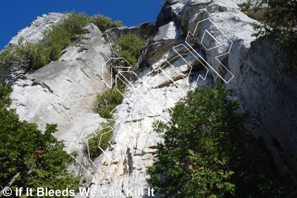 photo of Ladyslipper Area ▲▲ from Lion's Head