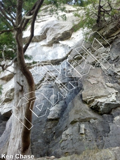 photo of Big O Tree, 5.11b ★★★ at Iguana Wall Area from Ontario: Mount Nemo