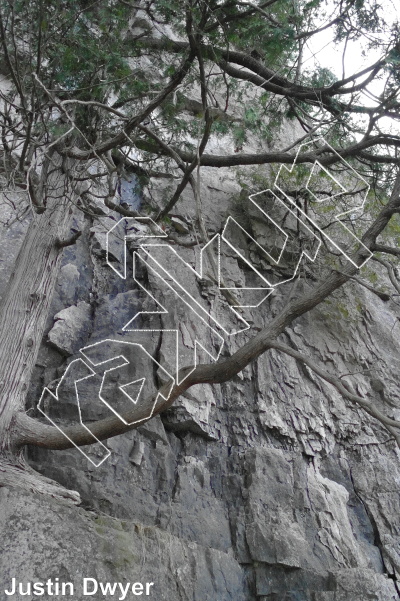 photo of Big O Tree, 5.11b ★★★ at Iguana Wall Area from Ontario: Mount Nemo