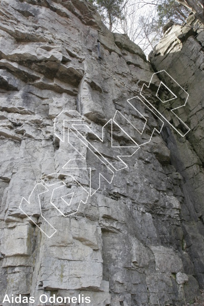 photo of Easy Steps, 5.3 ★★★★ at The Gooseberry Wall from Ontario: Mount Nemo