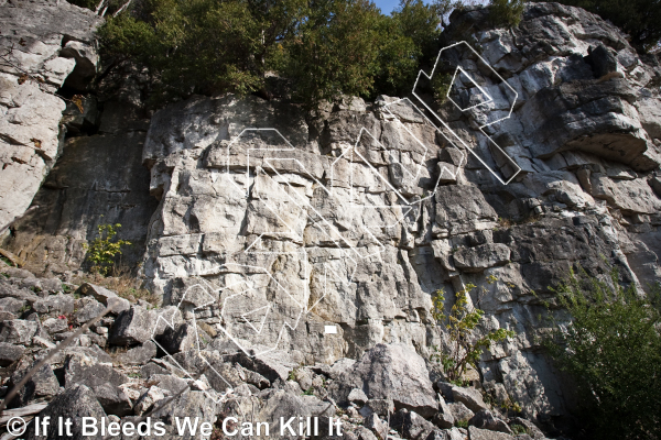 photo of The Plaque Area from Ontario: Rattlesnake Conservation Area