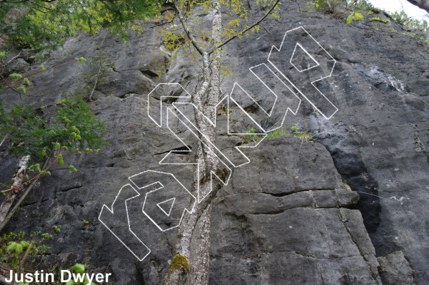 photo of Old School, 5.10c ★★★ at Old School Wall from Ontario: The Swamp