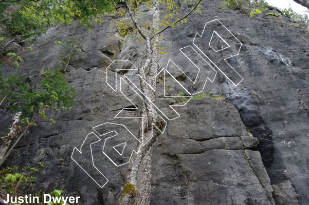 photo of Old School Wall from Ontario: The Swamp