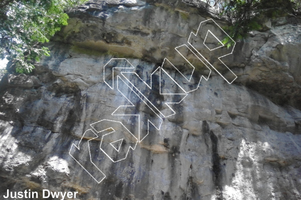 photo of Physical Graffiti Wall from Ontario: The Swamp