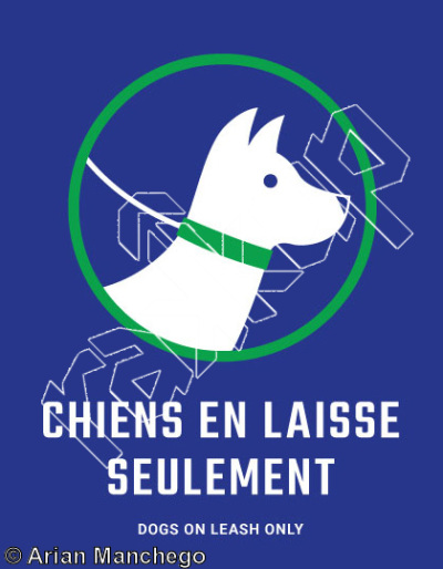 photo of Chiens en laisse seulement,   at Bienvenue - Welcome from Québec: Lac Long