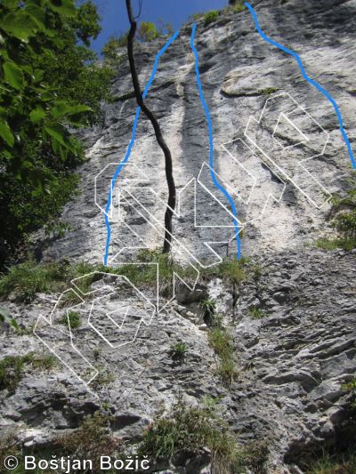 photo of Muflon, 5.12a/b ★★ at Trapez from Kotečnik Climbing