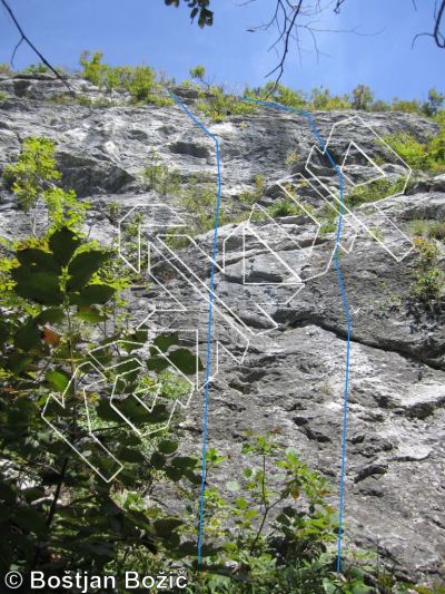 photo of Iberlauf, 5.11b  at Trapez I from Kotečnik Climbing