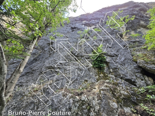 photo of Watershed  from Columbia Valley Rock Climbing