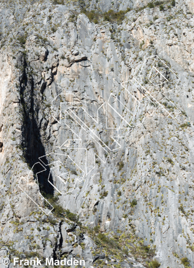 photo of La Selva (Jungle Wall) from Mexico: El Potrero Chico