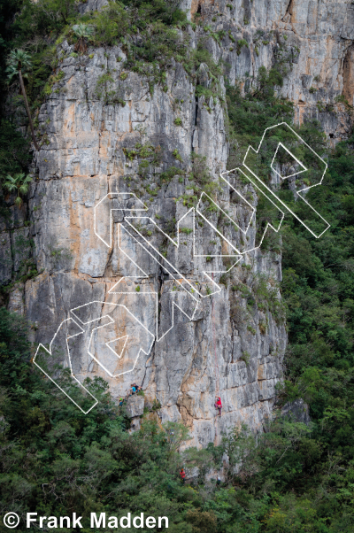 photo of The Lion Wall from Mexico: El Potrero Chico