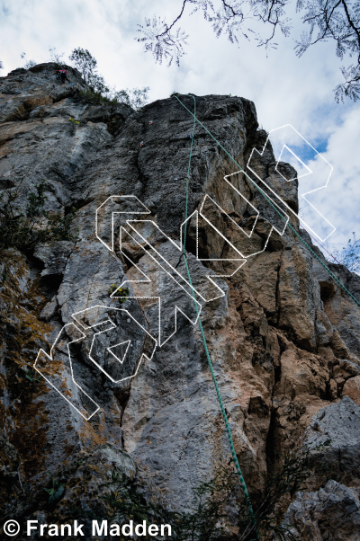 photo of The Lion Wall from Mexico: El Potrero Chico