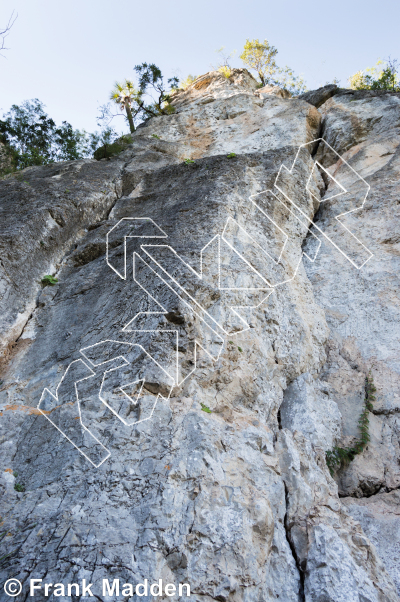 photo of The Lion Wall from Mexico: El Potrero Chico