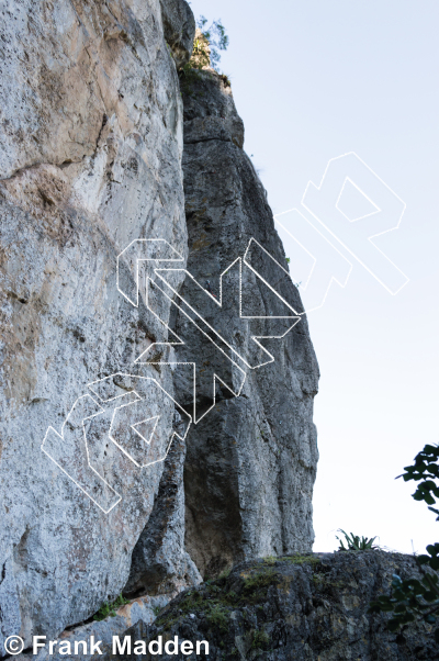 photo of The Lion Wall from Mexico: El Potrero Chico