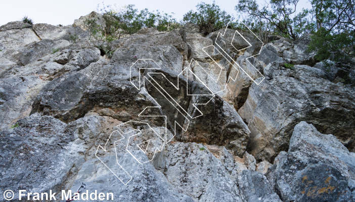 photo of The Lion Wall from Mexico: El Potrero Chico