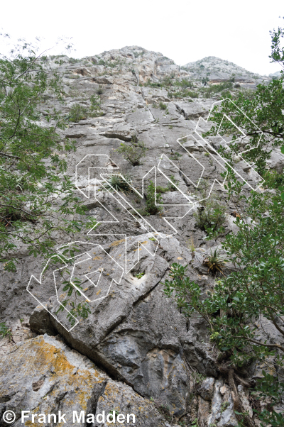 photo of Cat Wall from Mexico: El Potrero Chico