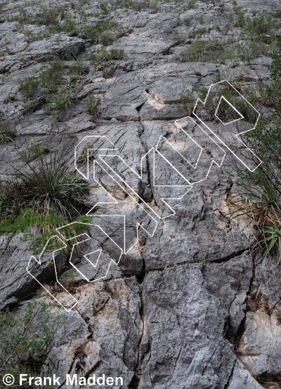 photo of Flamingo Wall from Mexico: El Potrero Chico