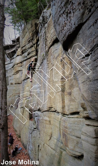 photo of Tree Flake, 5.6 ★ at Amphitheater  from Rose Ledge 2.0