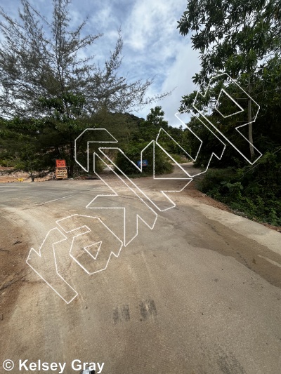 photo of Tiger Wall from Thailand: Koh Tao
