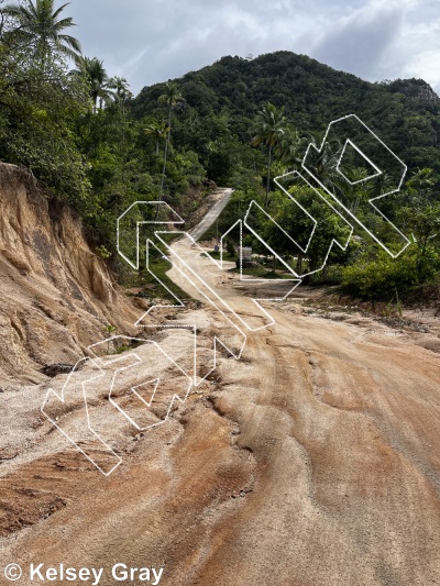 photo of Tiger Wall from Thailand: Koh Tao