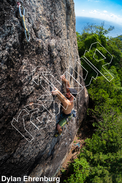 photo of Tiger Wall from Thailand: Koh Tao