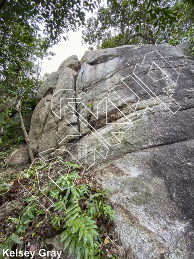 photo of Layer Cake from Thailand: Koh Tao