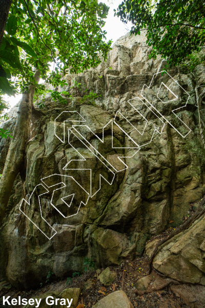 photo of De-vine Wall from Thailand: Koh Tao