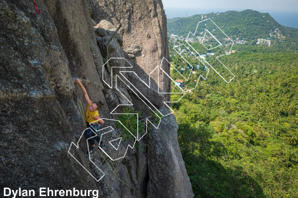 photo of Golden View from Thailand: Koh Tao