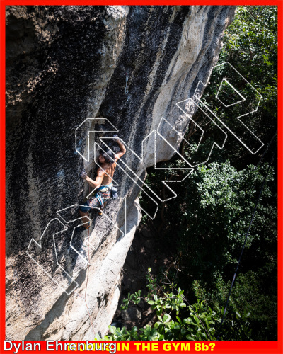 photo of Best Lines on Koh Tao from Thailand: Koh Tao