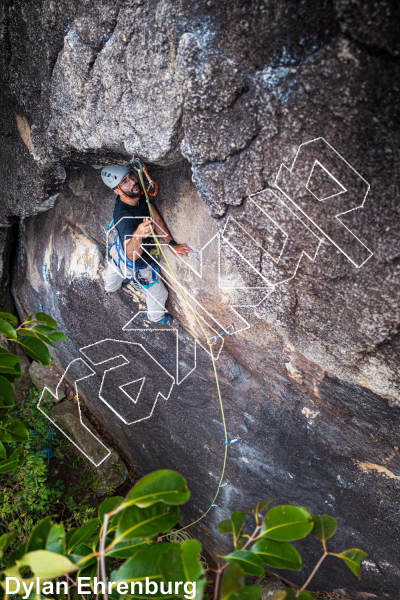 Tiger Wall from Thailand: Koh Tao photo of Tiger Wall from Thailand: Koh Tao