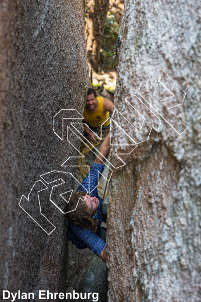 photo of Golden View from Thailand: Koh Tao