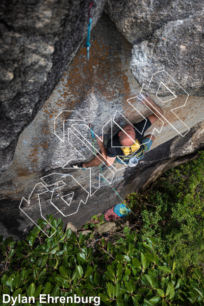 photo of Tiger Wall from Thailand: Koh Tao