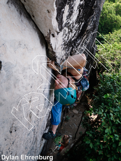 photo of Tiger Wall from Thailand: Koh Tao