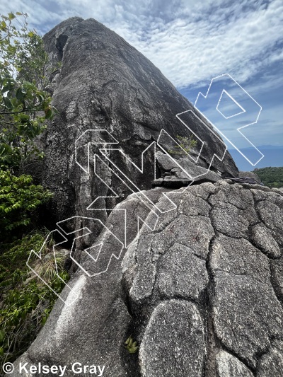 photo of Tiger Wall from Thailand: Koh Tao