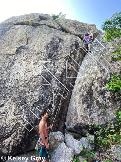 photo of Steggy, 5.9 ★★★ at Tanote Pinnacle from Thailand: Koh Tao