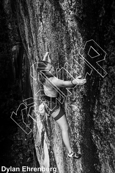 photo of Tiger Wall from Thailand: Koh Tao
