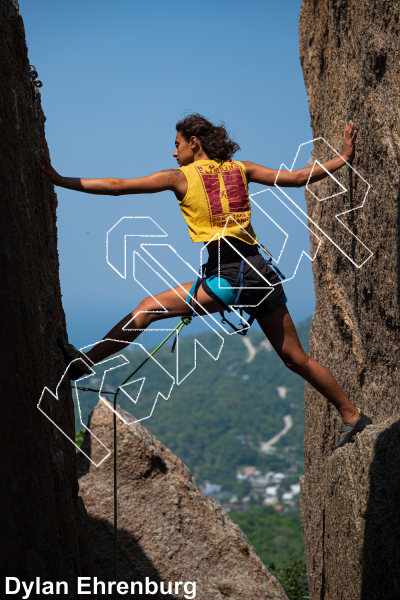 photo of Golden View from Thailand: Koh Tao