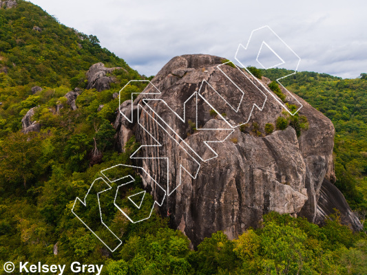 photo of Tiger Wall from Thailand: Koh Tao