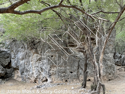 photo of Cobra Boulder from Oman: Bouldering