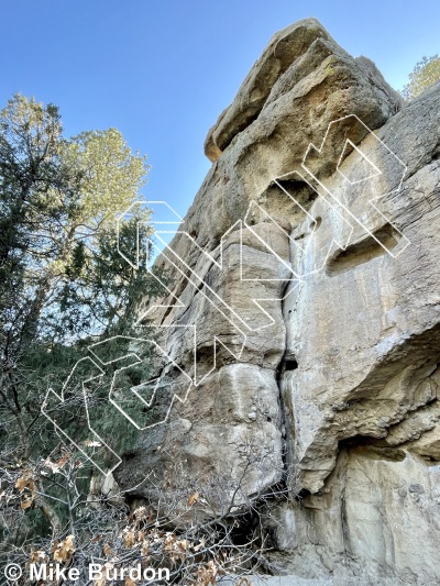 photo of Cactus Flower, 5.10 ★ at Grocery Store Walls from Castlewood Canyon State Park