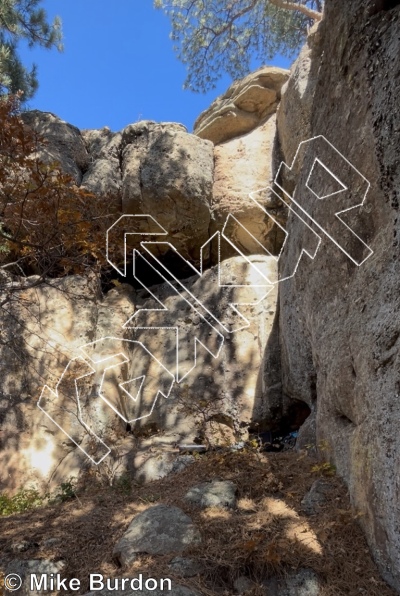 photo of Zoids from Castlewood Canyon State Park