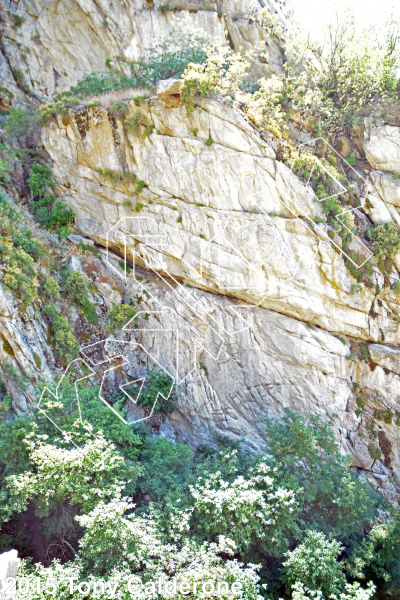photo of 40 Ounce Casualty, 5.10c ★ at Watchtower Upper Tiers from Ferguson Canyon Rock Climbing