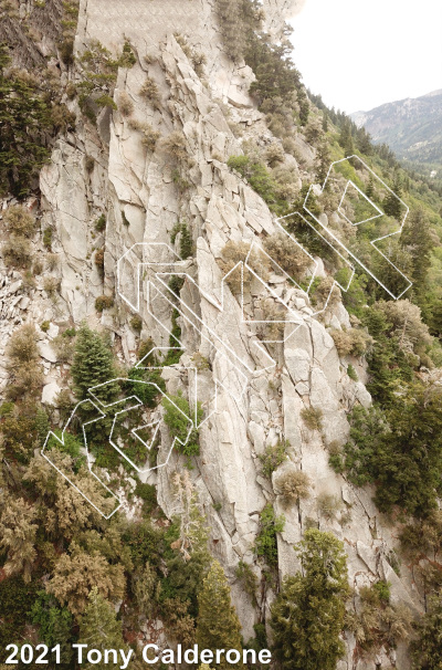 photo of Feline Wall from Wasatch Wilderness Rock Climbing