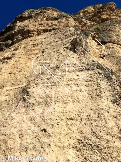 photo of The Giving Tree Wall from Ten Sleep