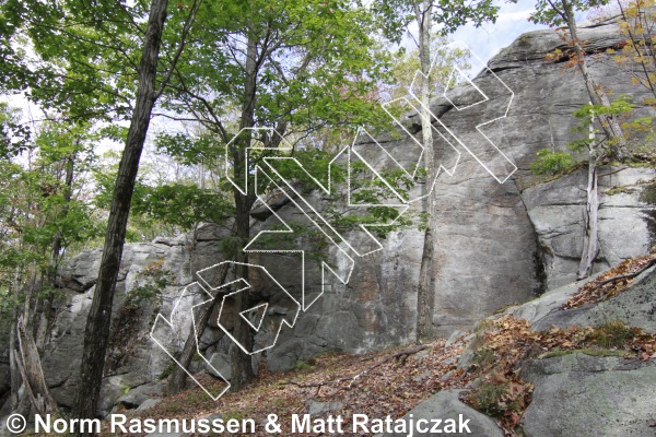 photo of The Rookie, 5.2 ★★★★ at Upper Basilisk from Powerlinez