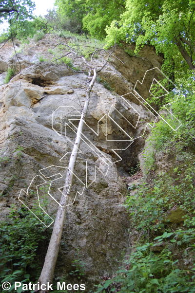 photo of Flying Buttress from Iowa Limestone