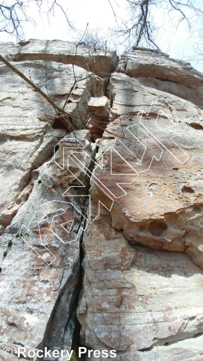 photo of Safari Crack, 5.7 ★ at Corners from Dogwood