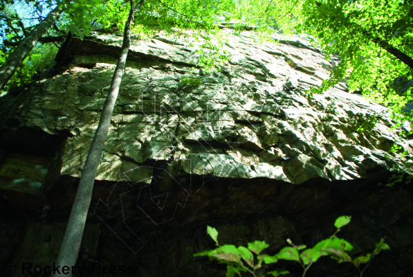 photo of Dihedrals from Foster Falls