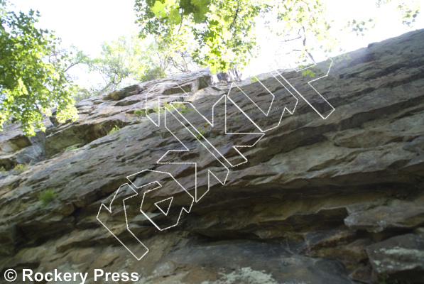 photo of Elephant Ears, 5.9  at Music City Wall from Foster Falls